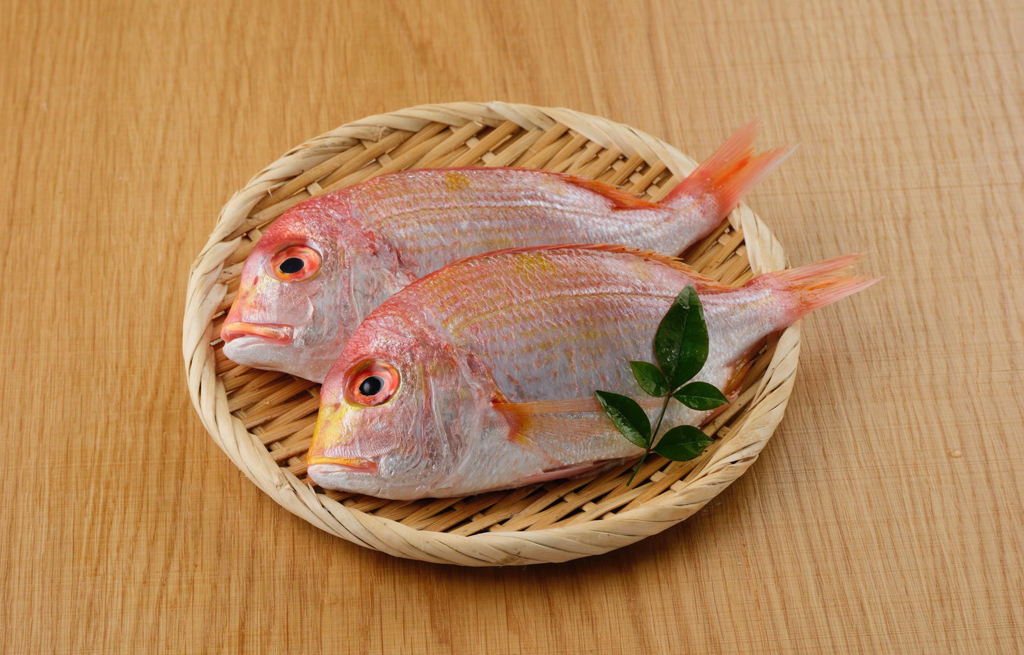 オススメ鮮魚盛り合わせ1
