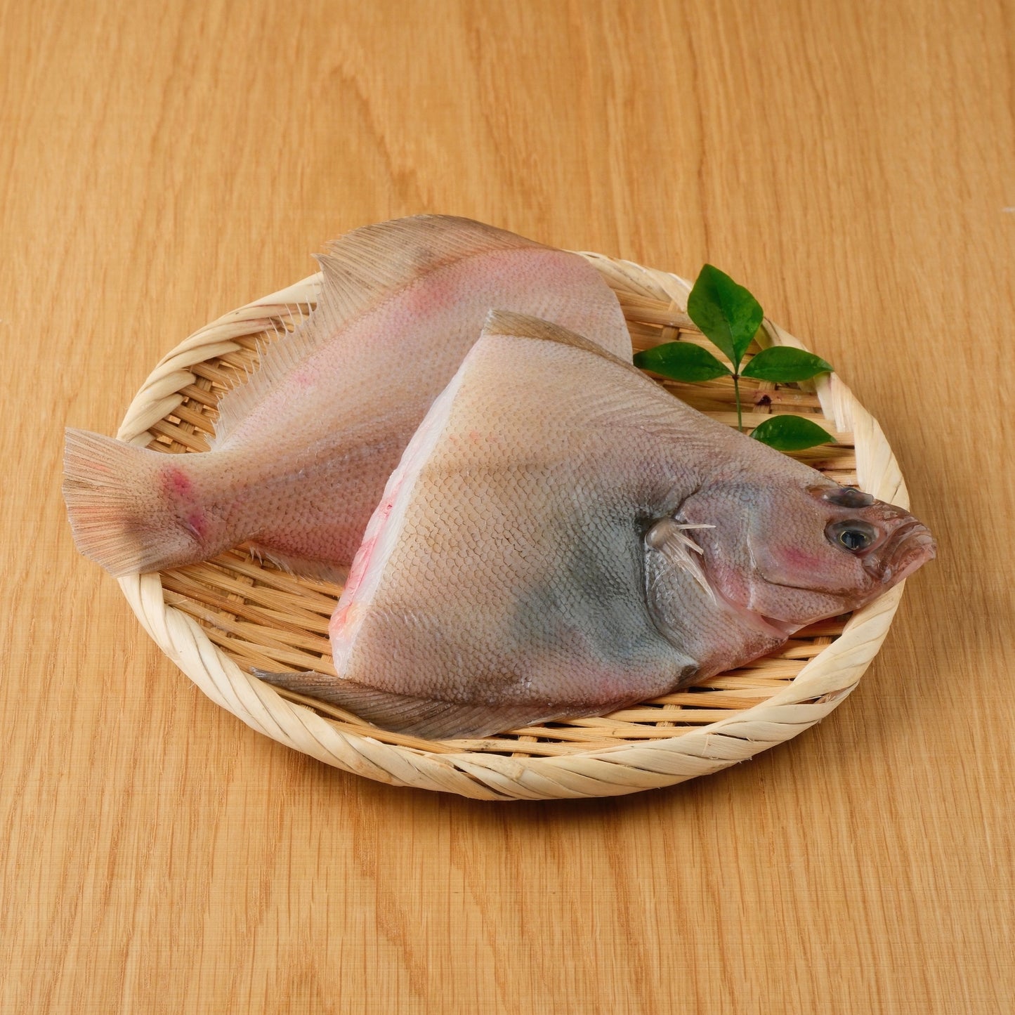 オススメ鮮魚盛り合わせ